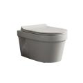 ASPIRA - WALL HUNG PP SEAT COVER (QQ TYPE)